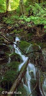 Bílé Karpaty, Strání, příroda, krajina, voda, potok, Velká Javořina